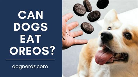 What does Oreo stand for?